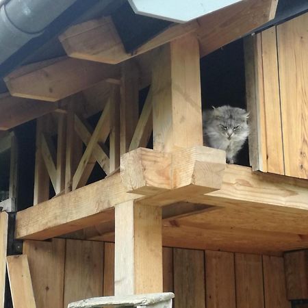 De Barre Hichte Bed & Breakfast Nijeberkoop Bagian luar foto